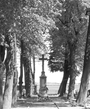 Cmentarz, ul. Głubczycka
